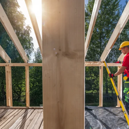 Wood Repair and Framing (2)